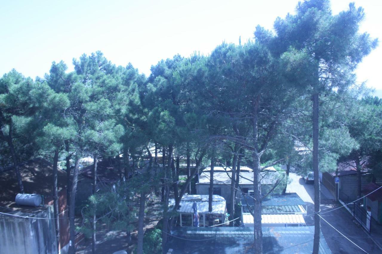 Hotel Temali 2 Velipojë Exterior foto